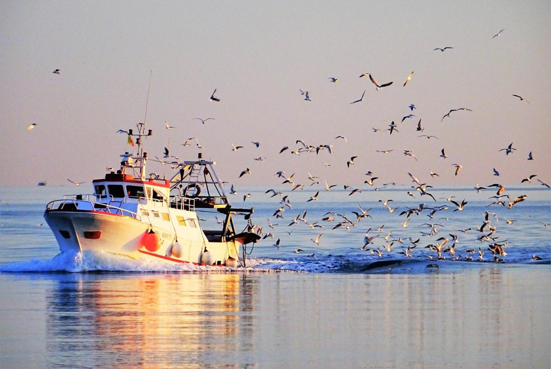 La Casa Del Pescatore N 33 - Porto Di St Spirito Bari Esterno foto